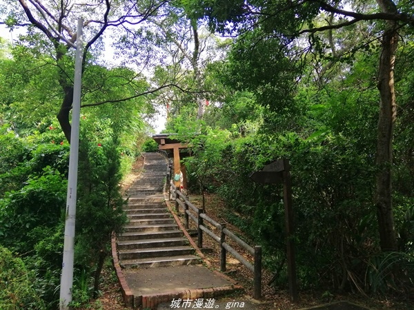 新竹 東區 城市綠意 小百岳集起來 編號26小百岳 十八尖山 欣傳媒