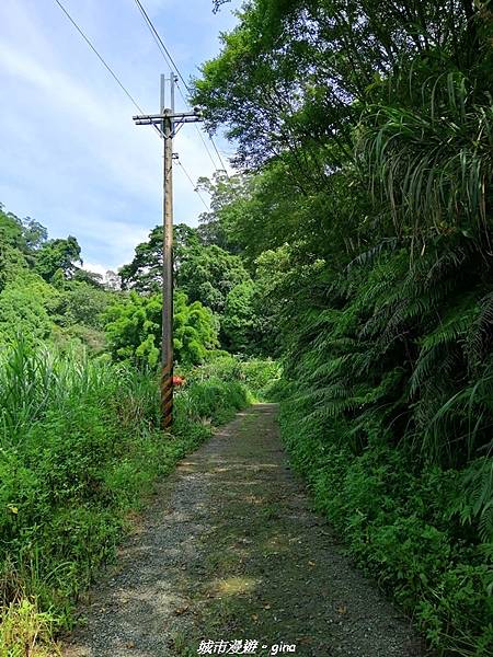 【桃園大溪】療癒的綠色山徑。 No23小百岳-溪洲山