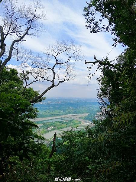 【桃園大溪】療癒的綠色山徑。 No23小百岳-溪洲山