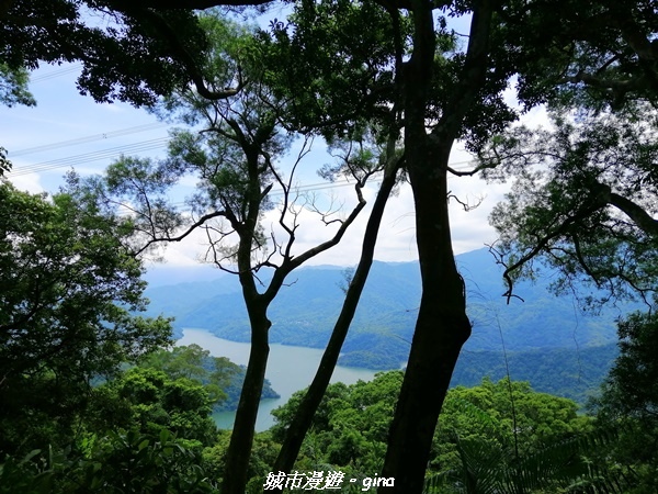 【桃園大溪】療癒的綠色山徑。 No23小百岳-溪洲山