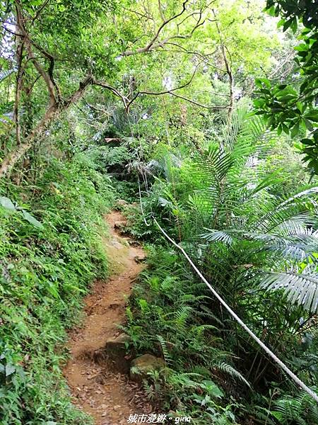 【桃園龍潭】平易近人。 No24桃園石門山x三坑老街