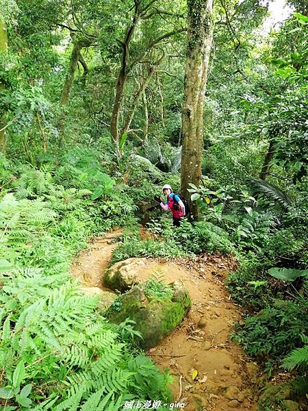 【桃園龍潭】平易近人。 No24桃園石門山x三坑老街