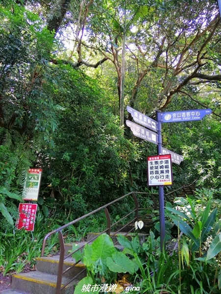 【新北金山】獅頭山公園步道~遠眺金山八景之燭臺雙嶼