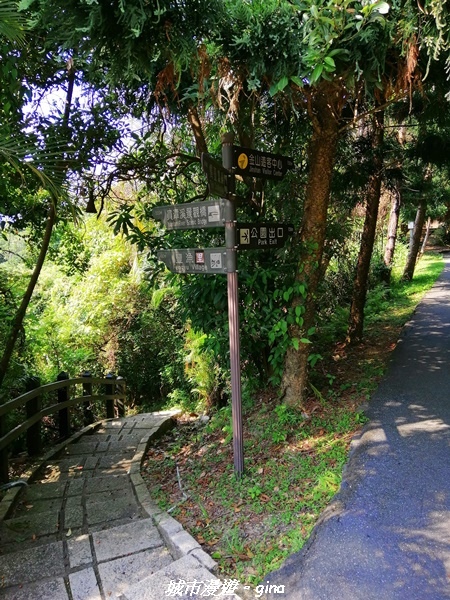 【新北金山】獅頭山公園步道~遠眺金山八景之燭臺雙嶼