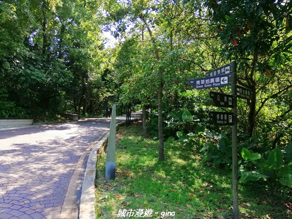 【新北金山】獅頭山公園步道~遠眺金山八景之燭臺雙嶼