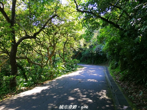 【新北金山】獅頭山公園步道~遠眺金山八景之燭臺雙嶼