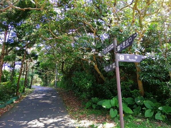 【新北金山】獅頭山公園步道~遠眺金山八景之燭臺雙嶼