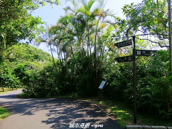 【新北金山】獅頭山公園步道~遠眺金山八景之燭臺雙嶼