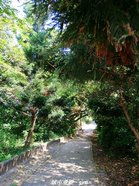 【新北金山】獅頭山公園步道~遠眺金山八景之燭臺雙嶼