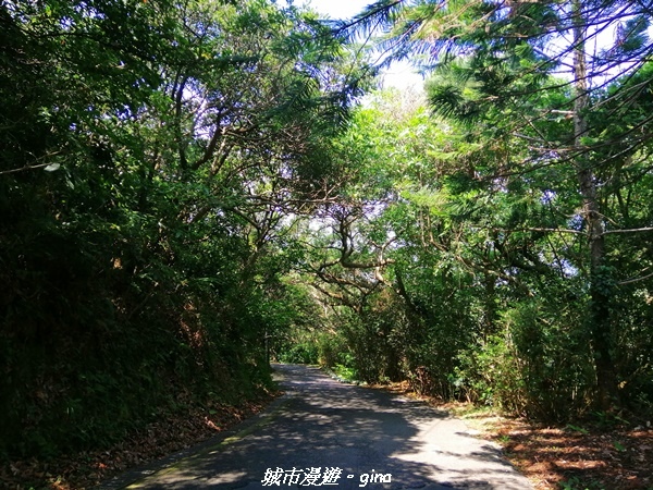 【新北金山】獅頭山公園步道~遠眺金山八景之燭臺雙嶼