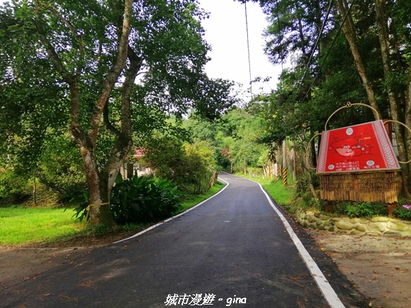 IMG_20210911_080818.jpg IMG_20210911_080818.jpg