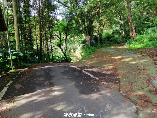 IMG_20210911_081711.jpg IMG_20210911_081711.jpg