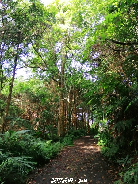 IMG_20210911_081834.jpg IMG_20210911_081834.jpg