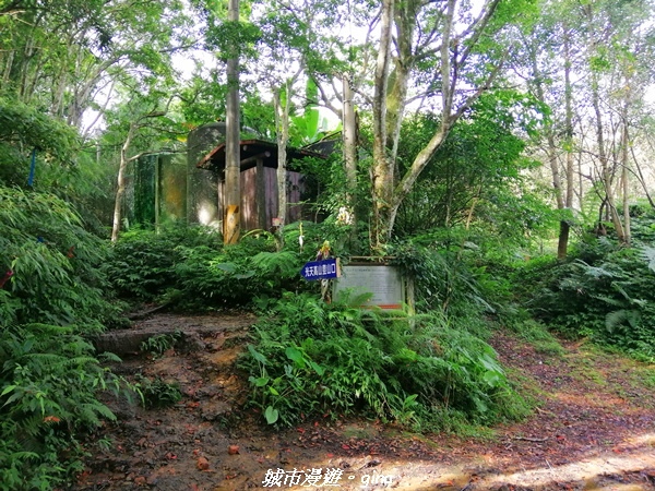 IMG_20210911_082002.jpg IMG_20210911_082002.jpg