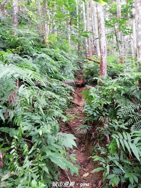 IMG_20210911_082601.jpg IMG_20210911_082601.jpg