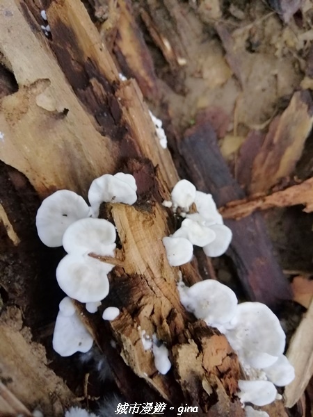 IMG_20210911_083325.jpg IMG_20210911_083325.jpg