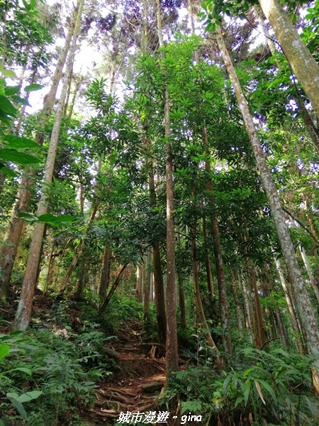 IMG_20210911_083223.jpg IMG_20210911_083223.jpg