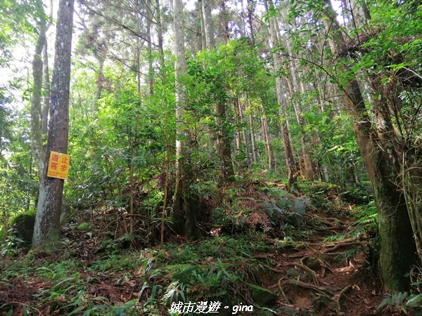 IMG_20210911_084806.jpg IMG_20210911_084806.jpg