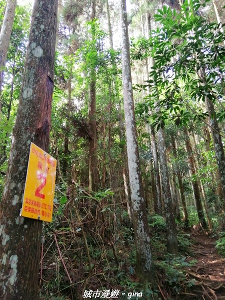 【苗栗南庄】到山裡森呼吸。 No32小百岳-向天湖山