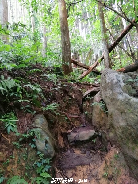 IMG_20210911_085939.jpg IMG_20210911_085939.jpg