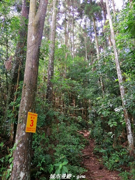 【苗栗南庄】到山裡森呼吸。 No32小百岳-向天湖山