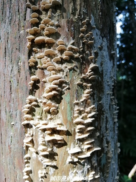 IMG_20210911_090305.jpg IMG_20210911_090305.jpg