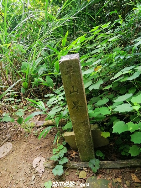 IMG_20210911_090833.jpg IMG_20210911_090833.jpg