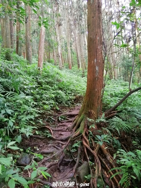 IMG_20210911_091414.jpg IMG_20210911_091414.jpg