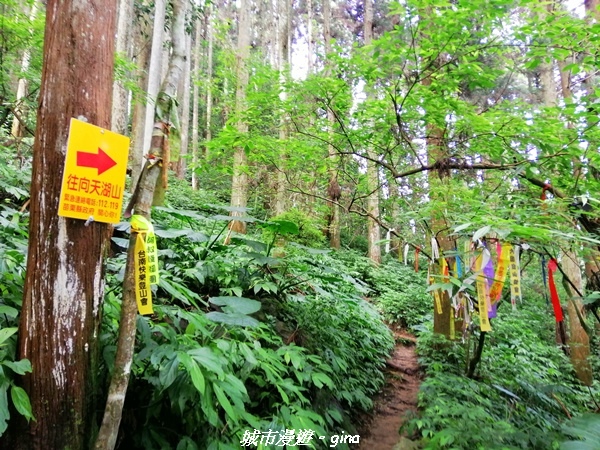 IMG_20210911_093326.jpg IMG_20210911_093326.jpg