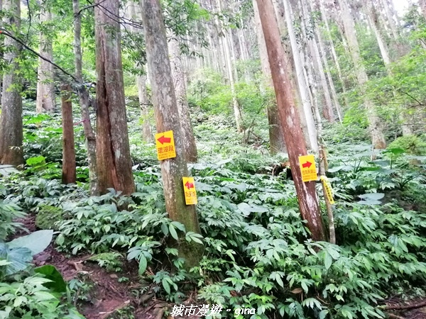 IMG_20210911_093308.jpg IMG_20210911_093308.jpg