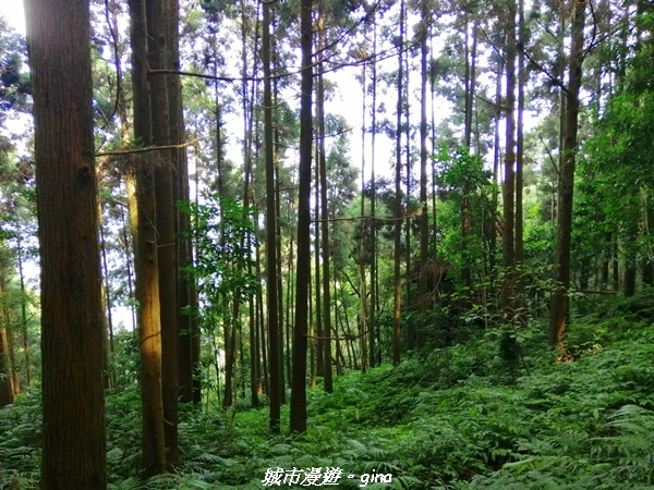 IMG_20210911_091456.jpg IMG_20210911_091456.jpg