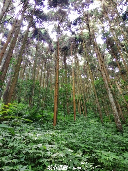 IMG_20210911_091437.jpg IMG_20210911_091437.jpg