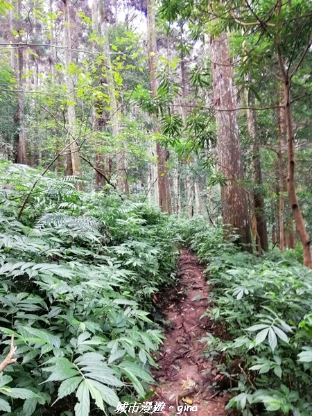 IMG_20210911_093106.jpg IMG_20210911_093106.jpg