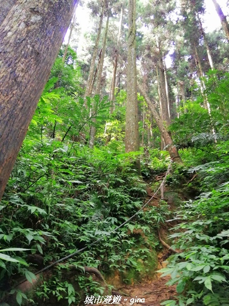 IMG_20210911_094006.jpg IMG_20210911_094006.jpg