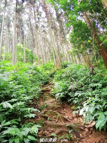 IMG_20210911_093503.jpg IMG_20210911_093503.jpg