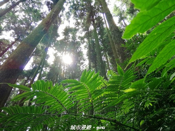 IMG_20210911_094138.jpg IMG_20210911_094138.jpg