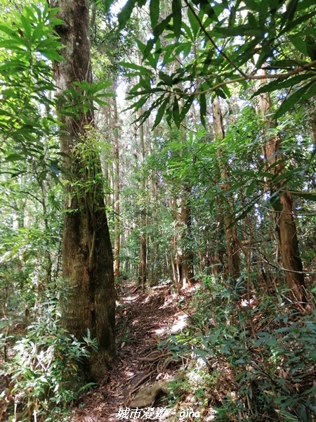 IMG_20210911_095132.jpg IMG_20210911_095132.jpg