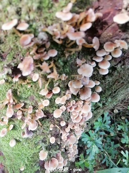 IMG_20210911_094420.jpg IMG_20210911_094420.jpg