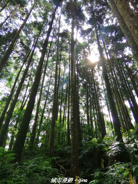 IMG_20210911_095605.jpg IMG_20210911_095605.jpg