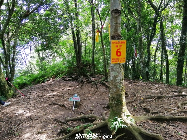 IMG_20210911_100219.jpg IMG_20210911_100219.jpg