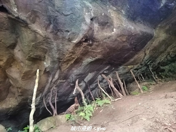 IMG_20210911_111314.jpg IMG_20210911_111314.jpg