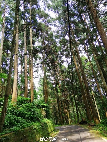 IMG_20210911_114658.jpg IMG_20210911_114658.jpg