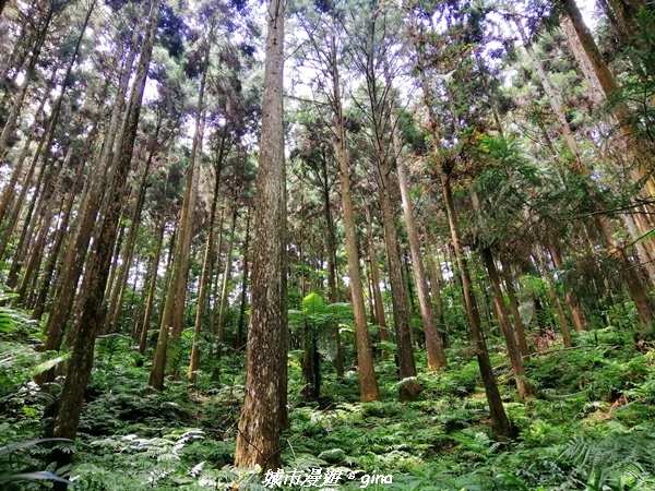 IMG_20210911_114652.jpg IMG_20210911_114652.jpg