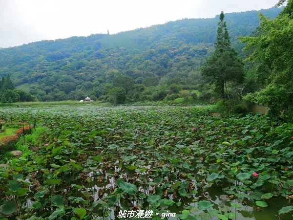 IMG_20210911_115850.jpg IMG_20210911_115850.jpg