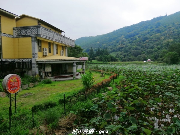 【苗栗南庄】到山裡森呼吸。 No32小百岳-向天湖山