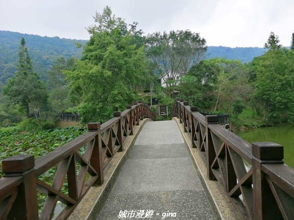 IMG_20210911_115830.jpg IMG_20210911_115830.jpg