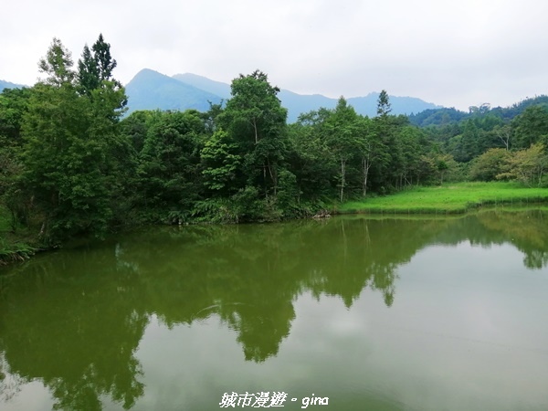 IMG_20210911_115855.jpg IMG_20210911_115855.jpg