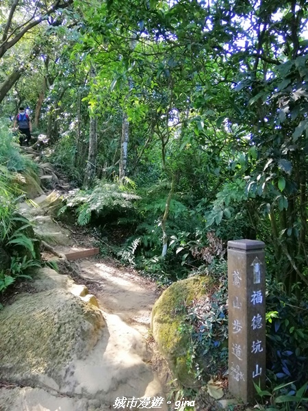 【新北三峽】健行尋悠~賞遼闊視野。 No19小百岳~鳶山(福