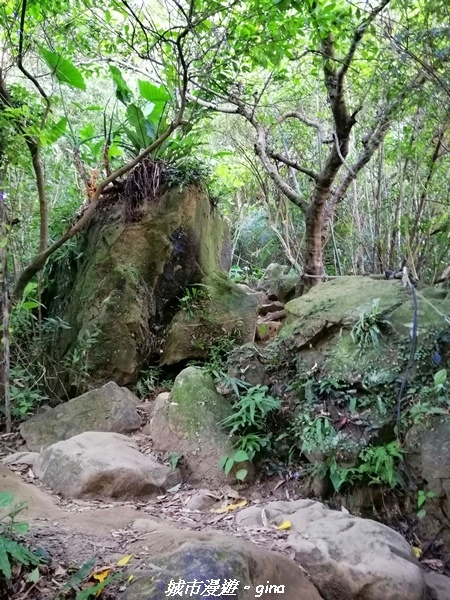 【新北三峽】健行尋悠~賞遼闊視野。 No19小百岳~鳶山(福