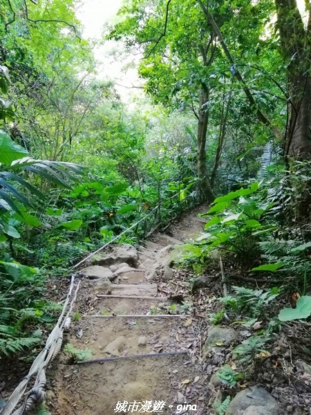 【新北三峽】健行尋悠~賞遼闊視野。 No19小百岳~鳶山(福